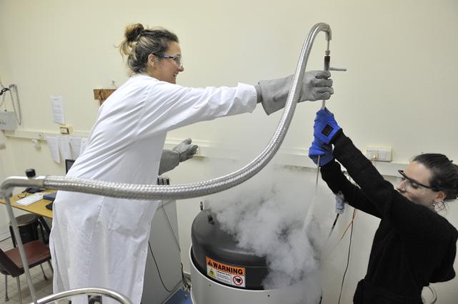 Remplissage d’un cryostat avec de l’hélium liquide ; Crédits : CNRS Photothèque / Benoît RAJAU, LPEM